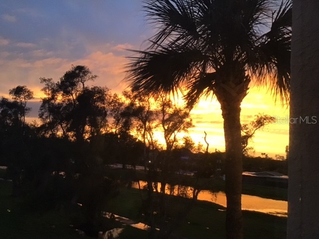 9450 Harbor Greens Way #301 Seminole FL 33776 TB8526556 image1