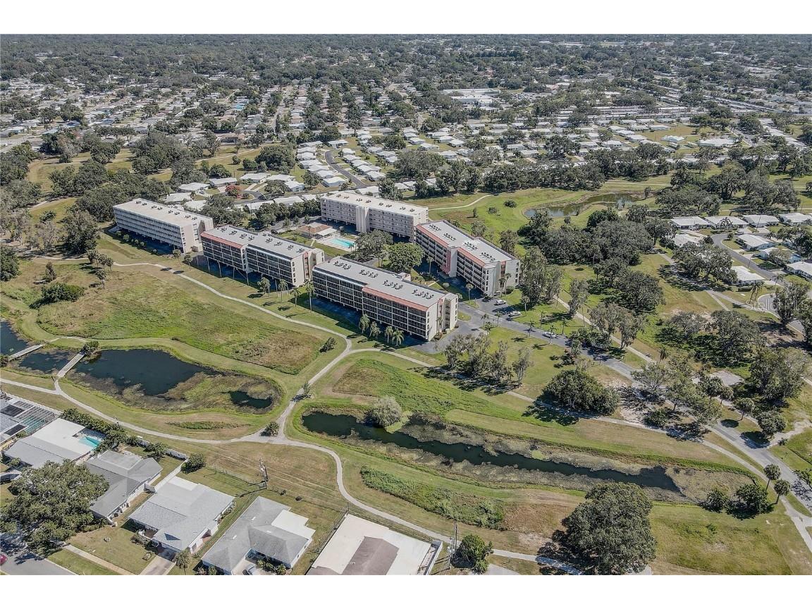 9450 Harbor Greens Way #503 Seminole FL 33776 TB8440800 image43