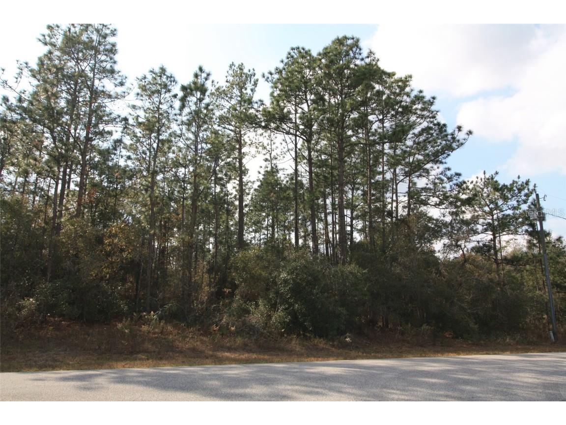 9450 N Old Mill Way Citrus Springs FL 34433 R4906524 image1