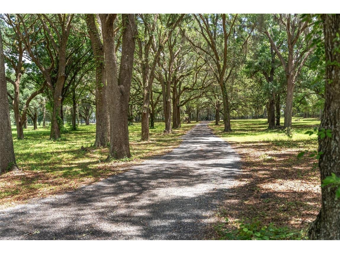 9450 NW 150th Avenue Morriston FL 32668 OM702344 image2