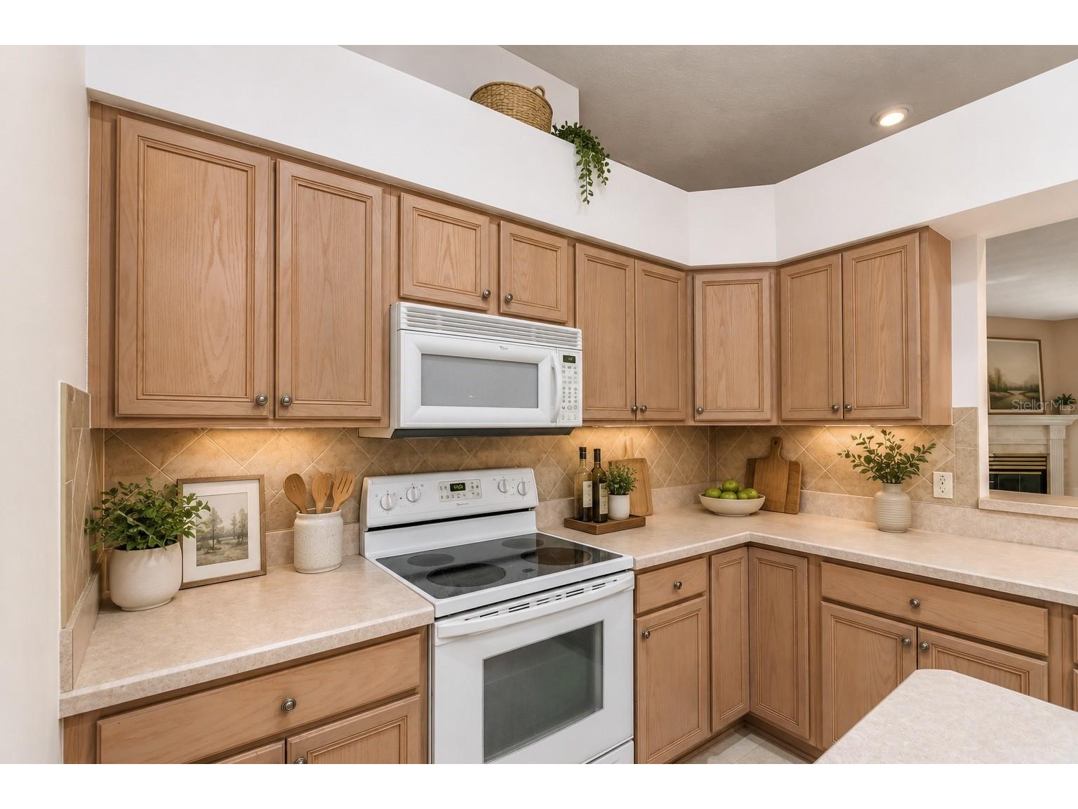 9450 SW 208th Circle Dunnellon FL 34431 OM724940 image7