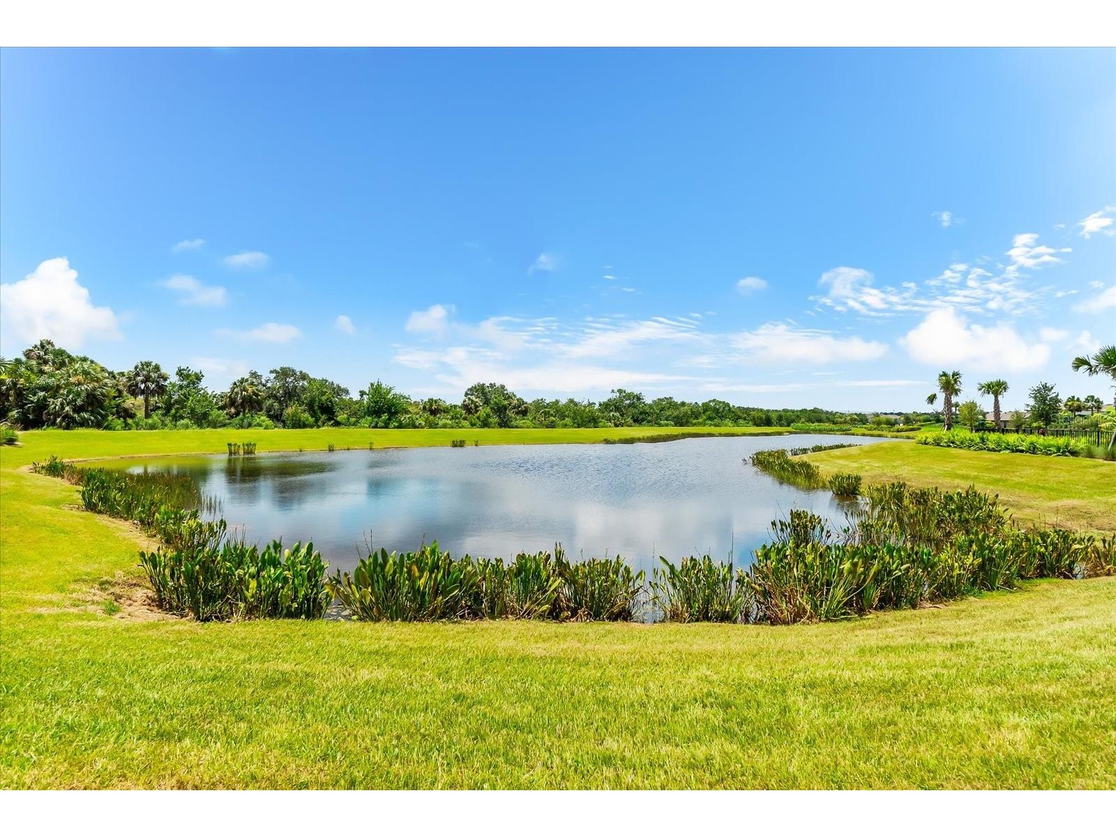 9451 Tequila Sunrise Drive Sarasota FL 34241 A4673321 image57