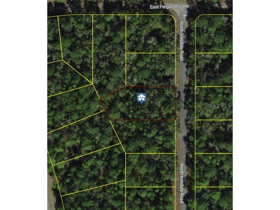 9452 N Irondale Road Dunnellon FL 34434 OM718837 image1