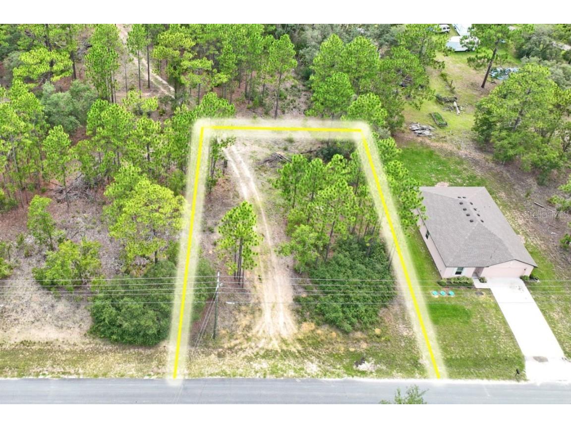9452 N Paradisea Drive Citrus Springs FL 34433 W7877073 image1