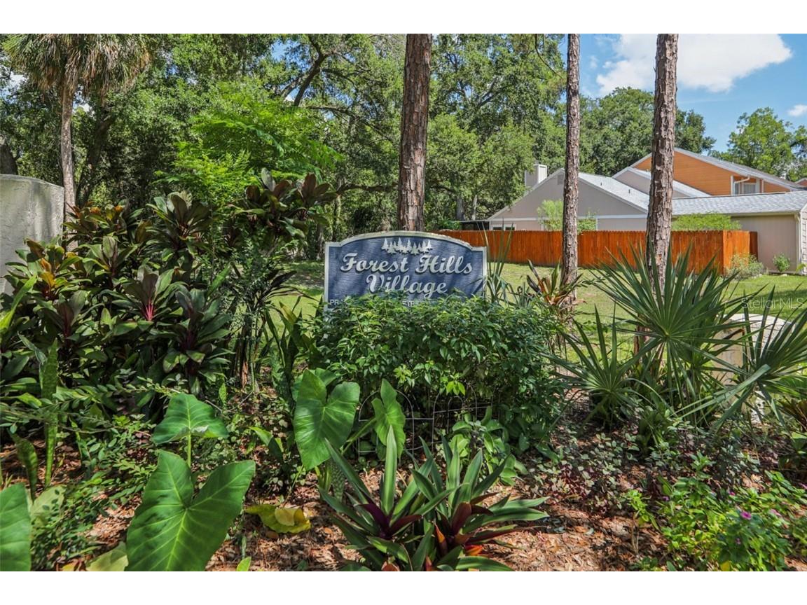 9456 Forest Hills Circle Tampa FL 33612 TB8412329 image28