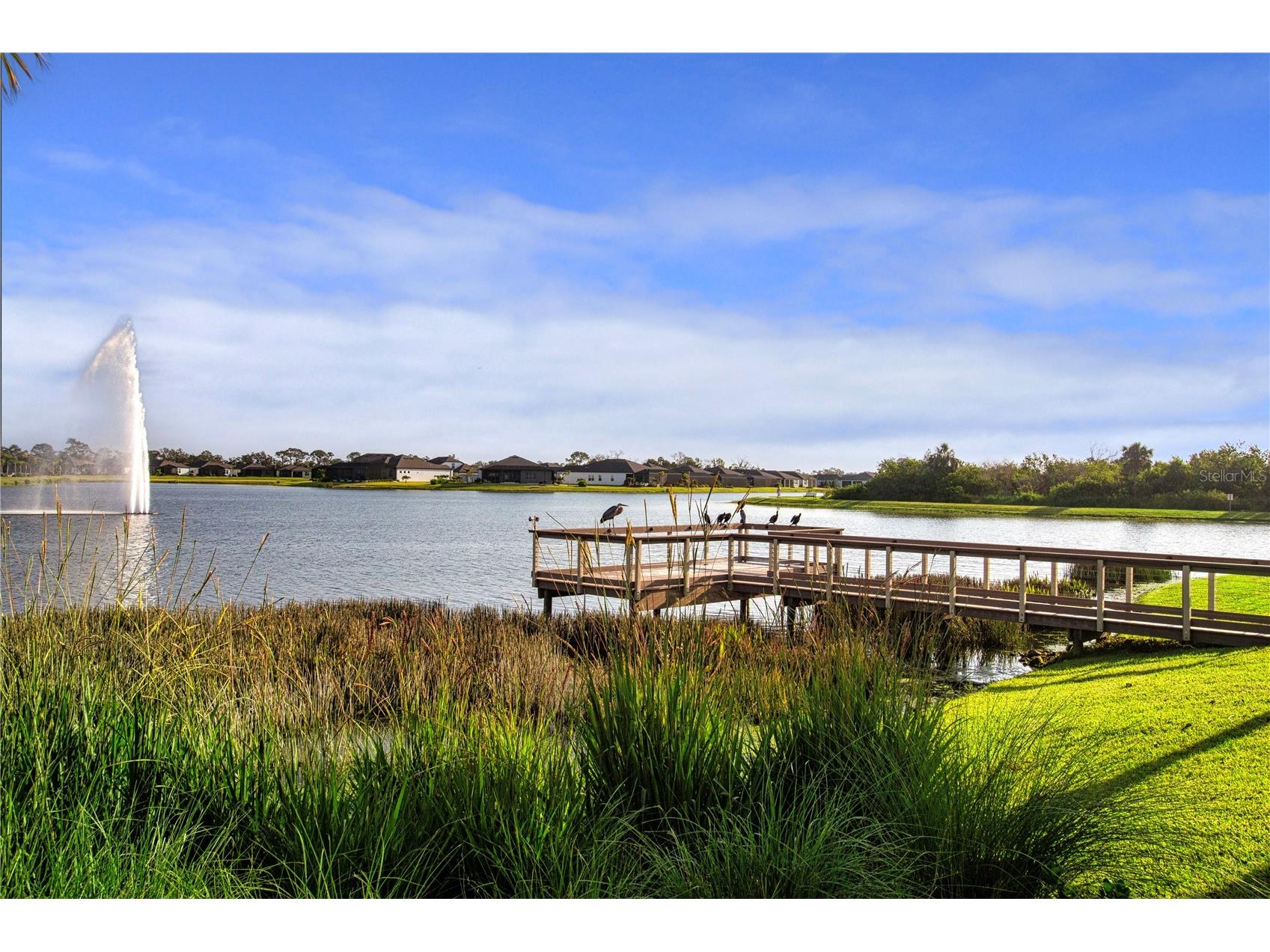 9457 Shorebird Court Parrish FL 34219 A4686335 image69