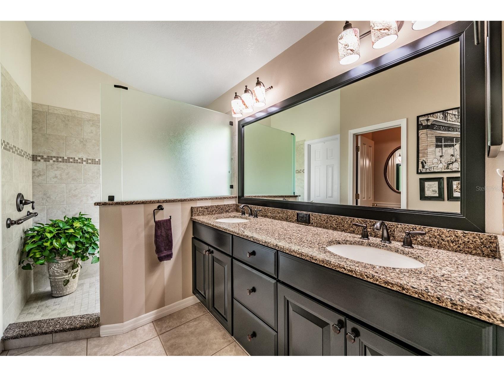 9459 Hunters Pond Drive Tampa FL 33647 TB8511840 image23