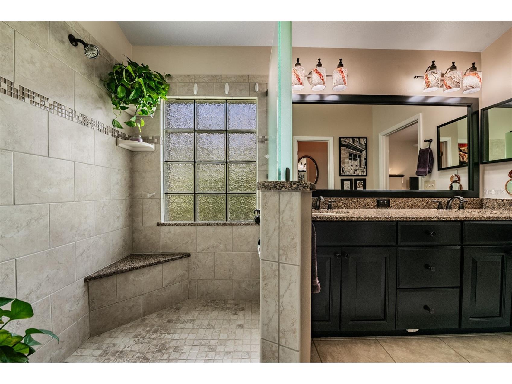 9459 Hunters Pond Drive Tampa FL 33647 TB8511840 image24