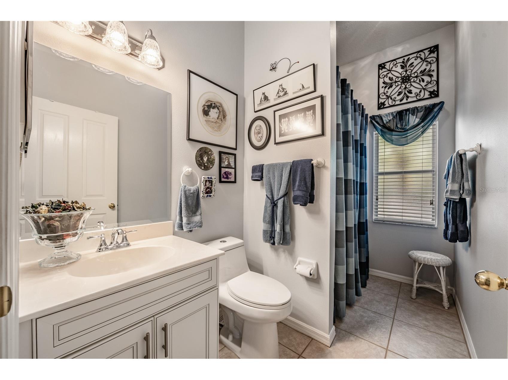 9459 Hunters Pond Drive Tampa FL 33647 TB8511840 image27