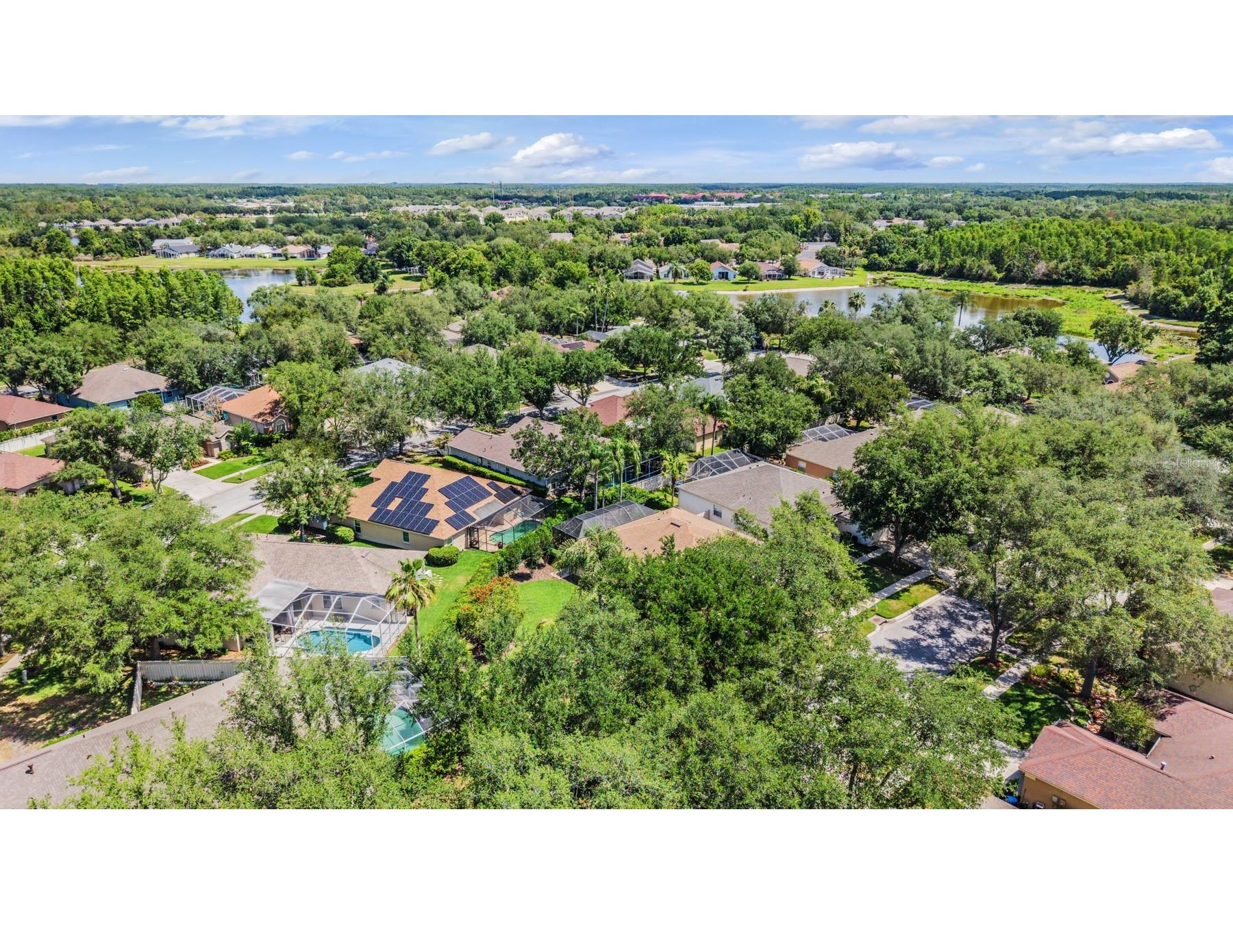 9459 Hunters Pond Drive Tampa FL 33647 TB8511840 image39