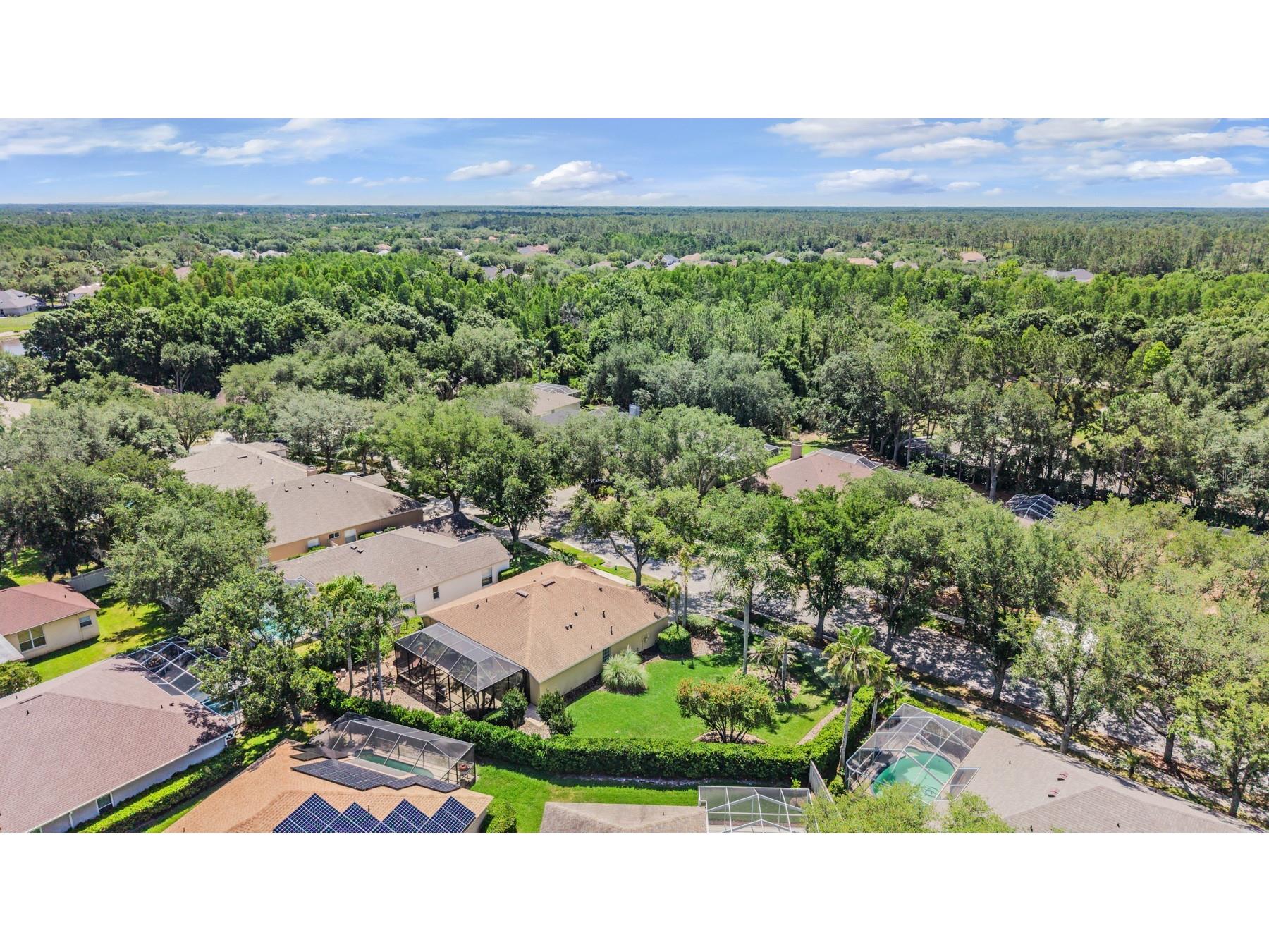 9459 Hunters Pond Drive Tampa FL 33647 TB8511840 image40