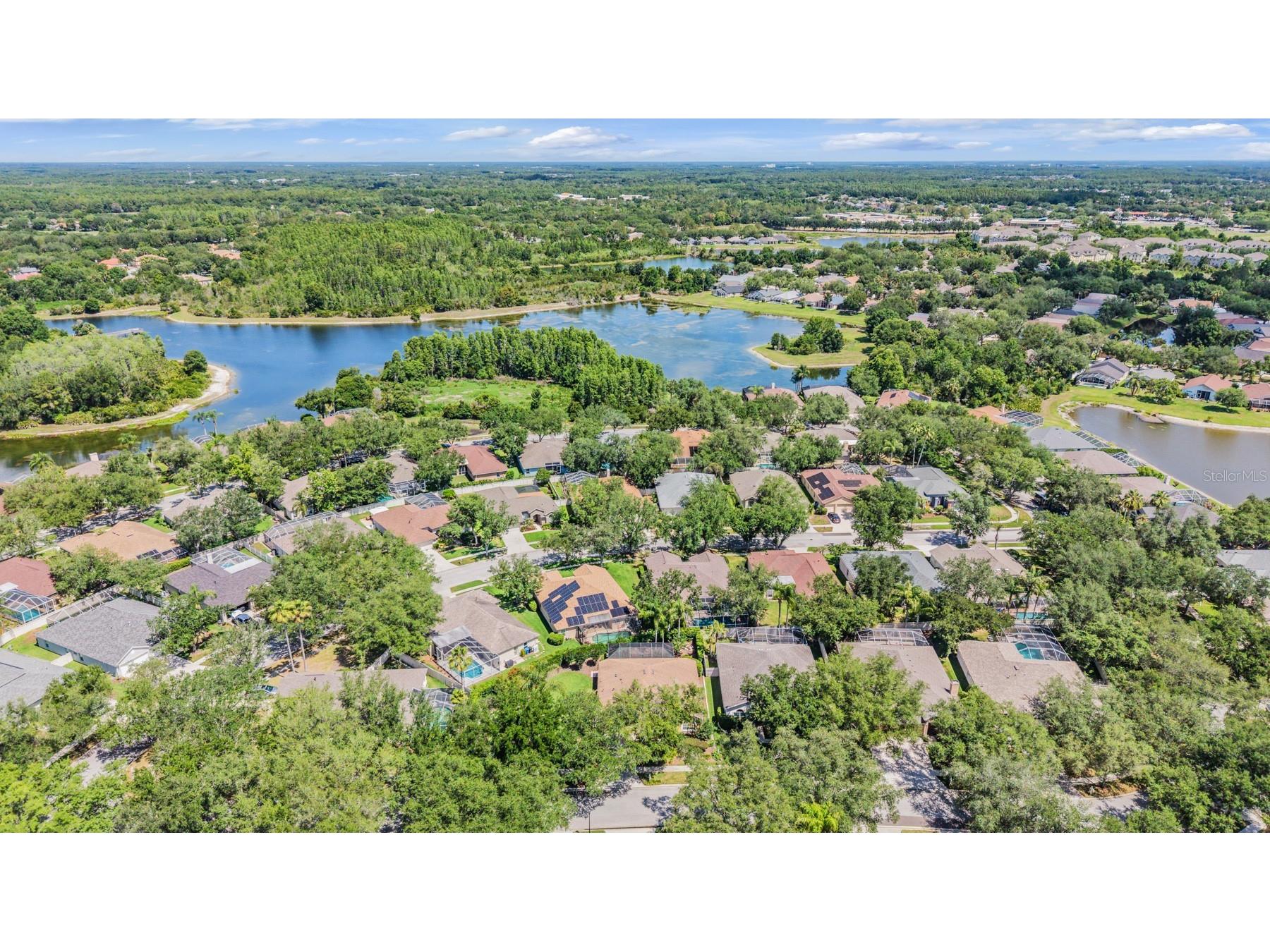 9459 Hunters Pond Drive Tampa FL 33647 TB8511840 image42