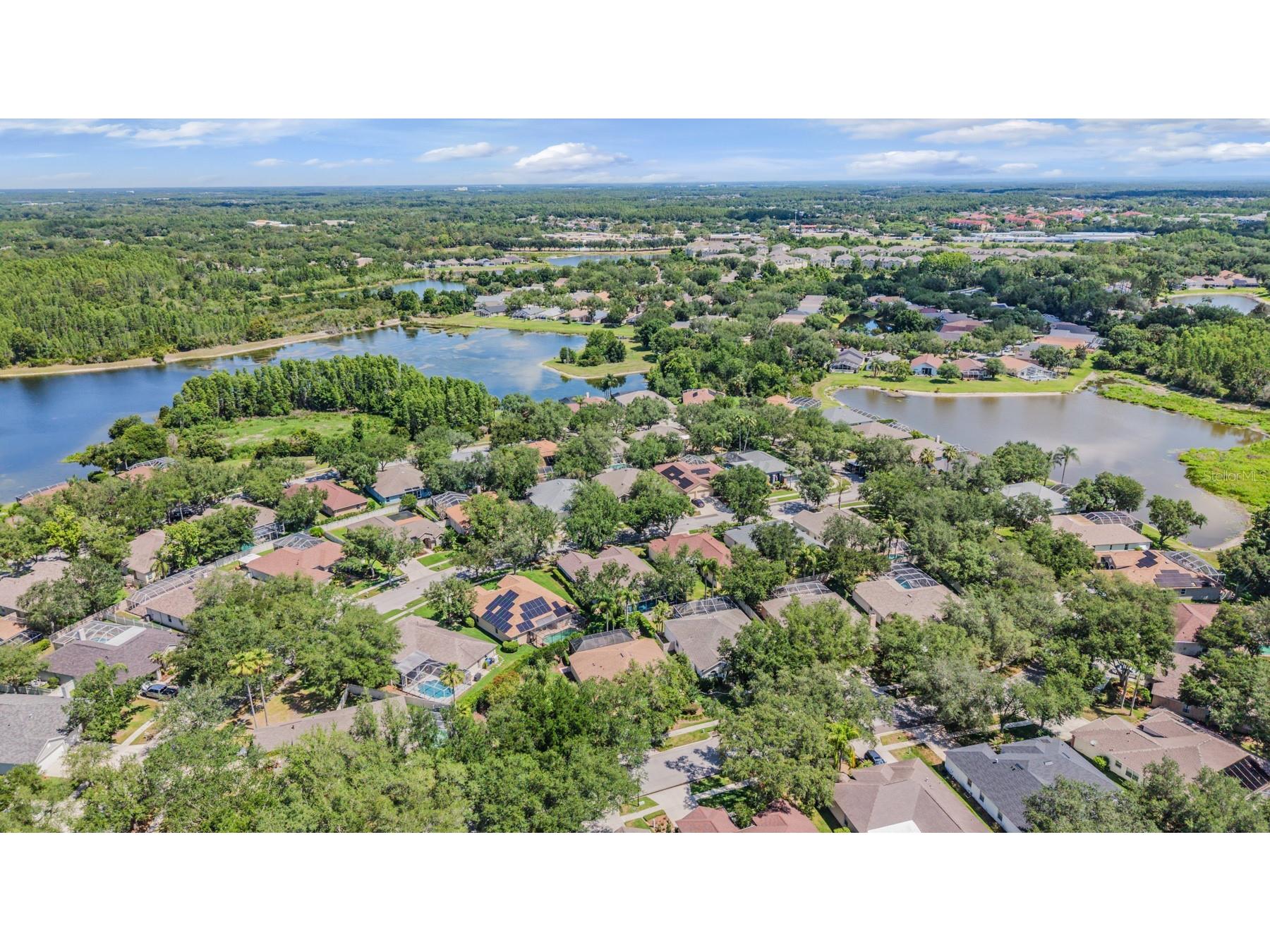 9459 Hunters Pond Drive Tampa FL 33647 TB8511840 image44