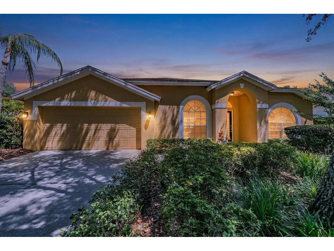 9459 Hunters Pond Drive Tampa FL 33647 TB8511840 image47