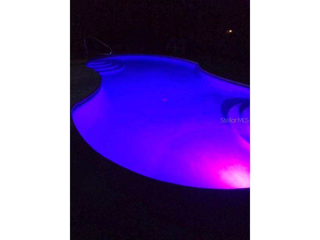 9459 N Eubanks Terrace Dunnellon FL 34433 OM707868 image41