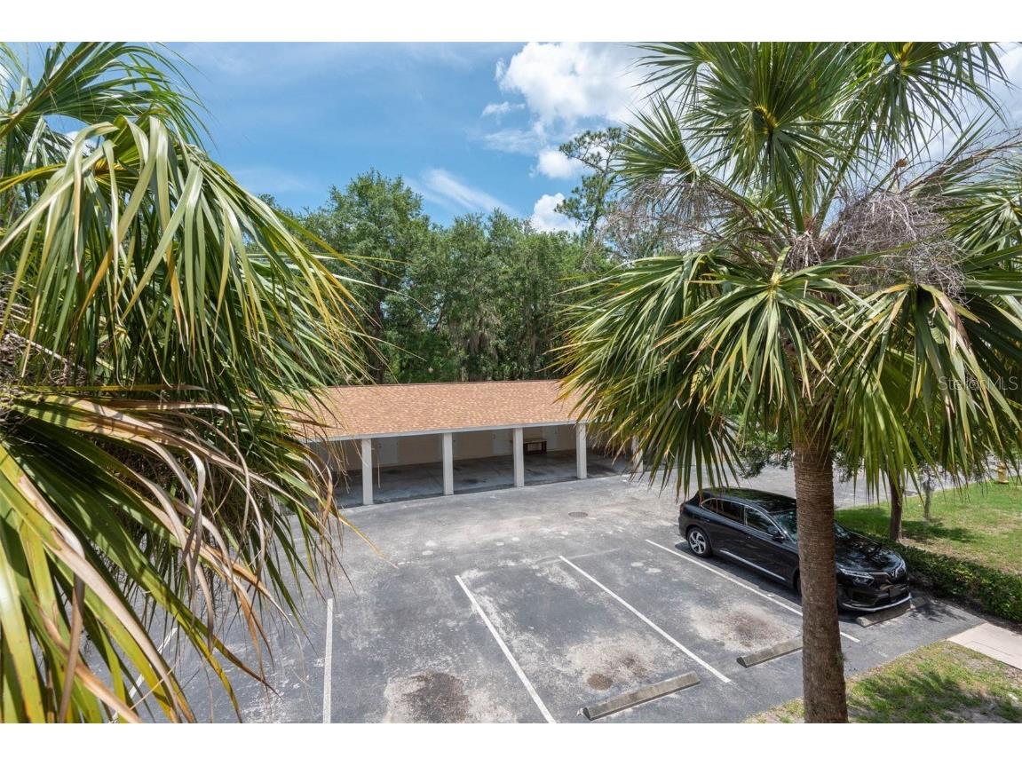 946 15th Street #202 Daytona Beach FL 32117 TB8409708 image10