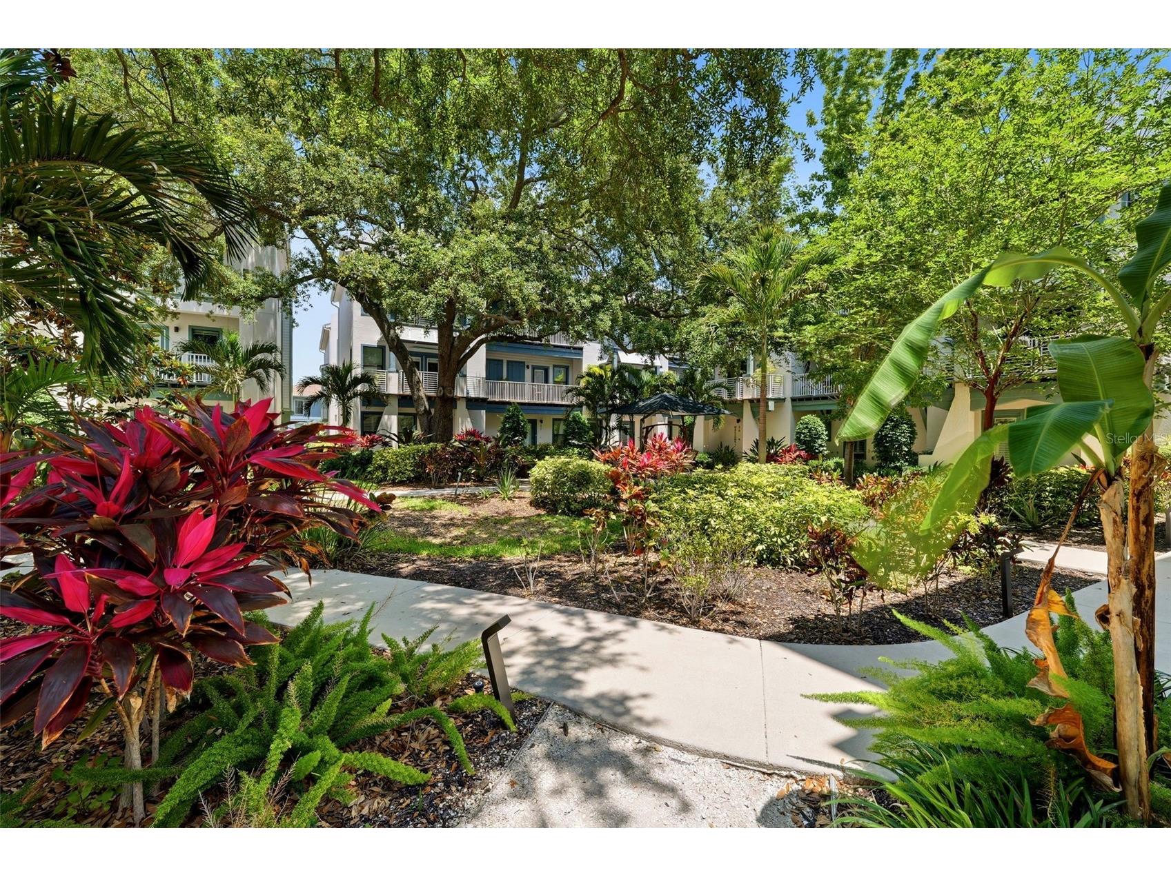 946 Highland Avenue #16 Dunedin FL 34698 TB8504862 image36