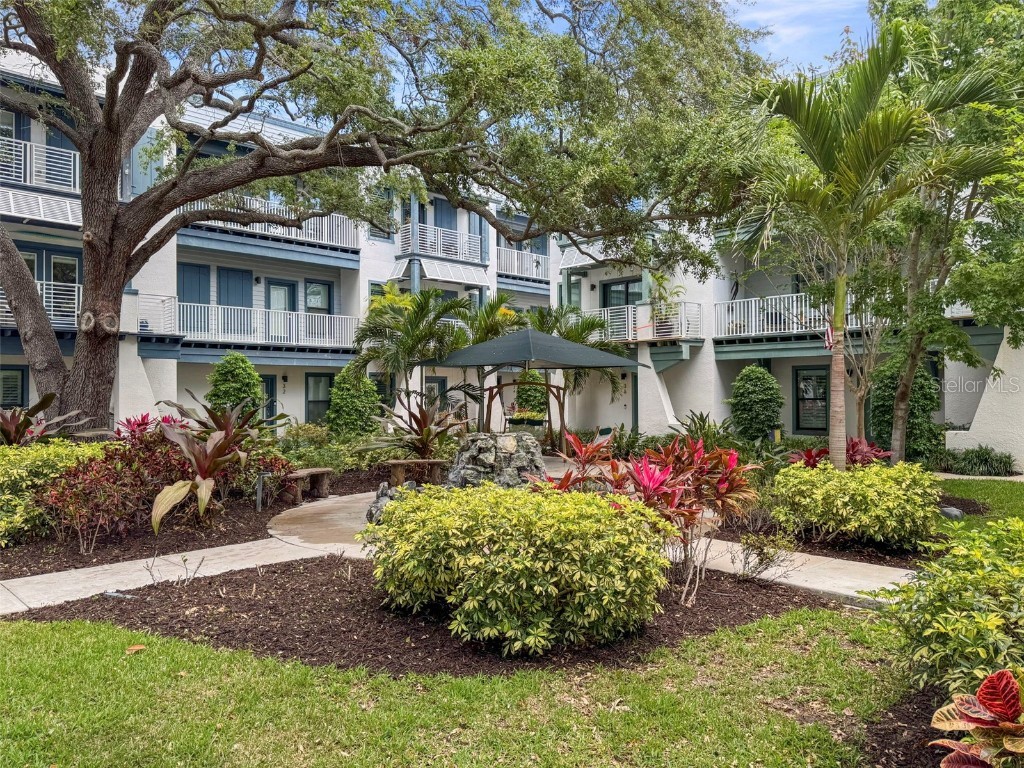 946 Highland Avenue #28 Dunedin FL 34698 TB8436602 image25