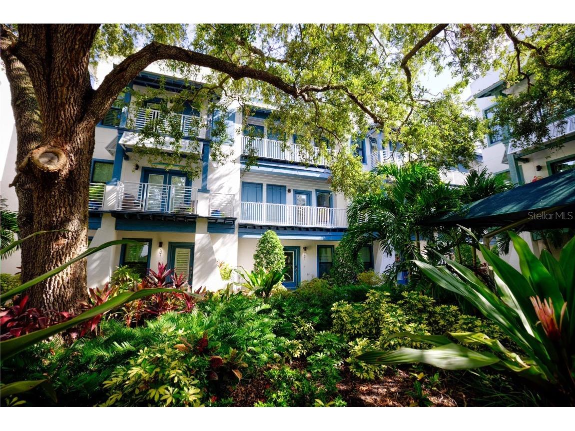 946 Highland Avenue #32 Dunedin FL 34698 TB8303642 image1