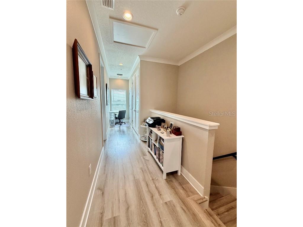 946 Highland Avenue Dunedin FL 34698 TB8441677 image31