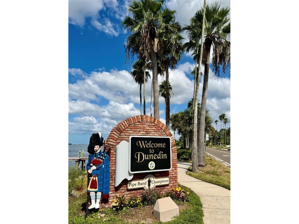 946 Highland Avenue Dunedin FL 34698 TB8441677 image36