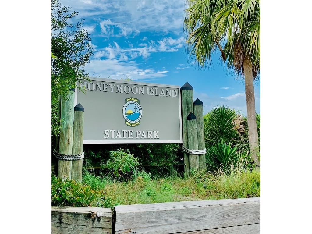 946 Highland Avenue Dunedin FL 34698 TB8441677 image38