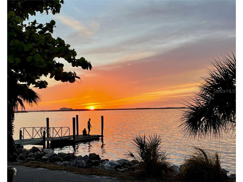 946 Highland Avenue Dunedin FL 34698 TB8441677 image41