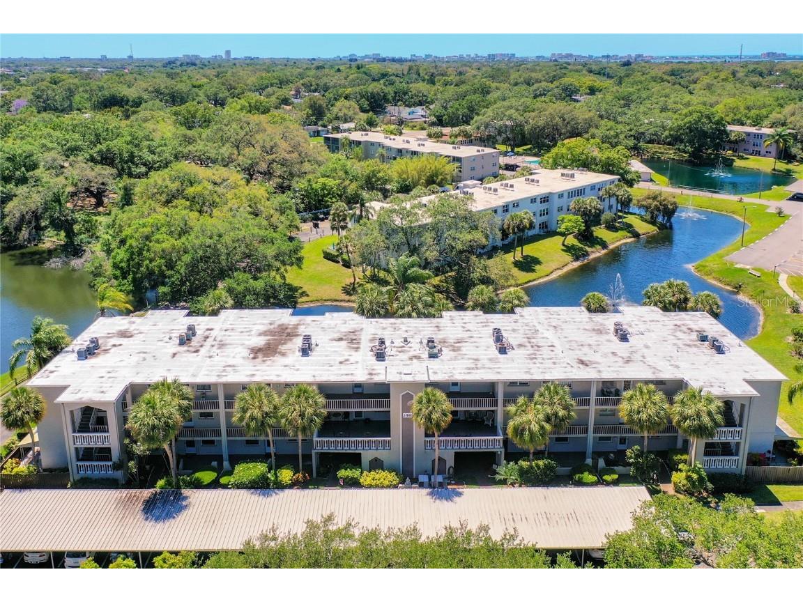 946 Virginia Street #101 Dunedin FL 34698 U8158565 image1