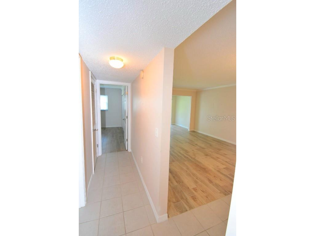 946 Virginia Street #102 Dunedin FL 34698 TB8412620 image13