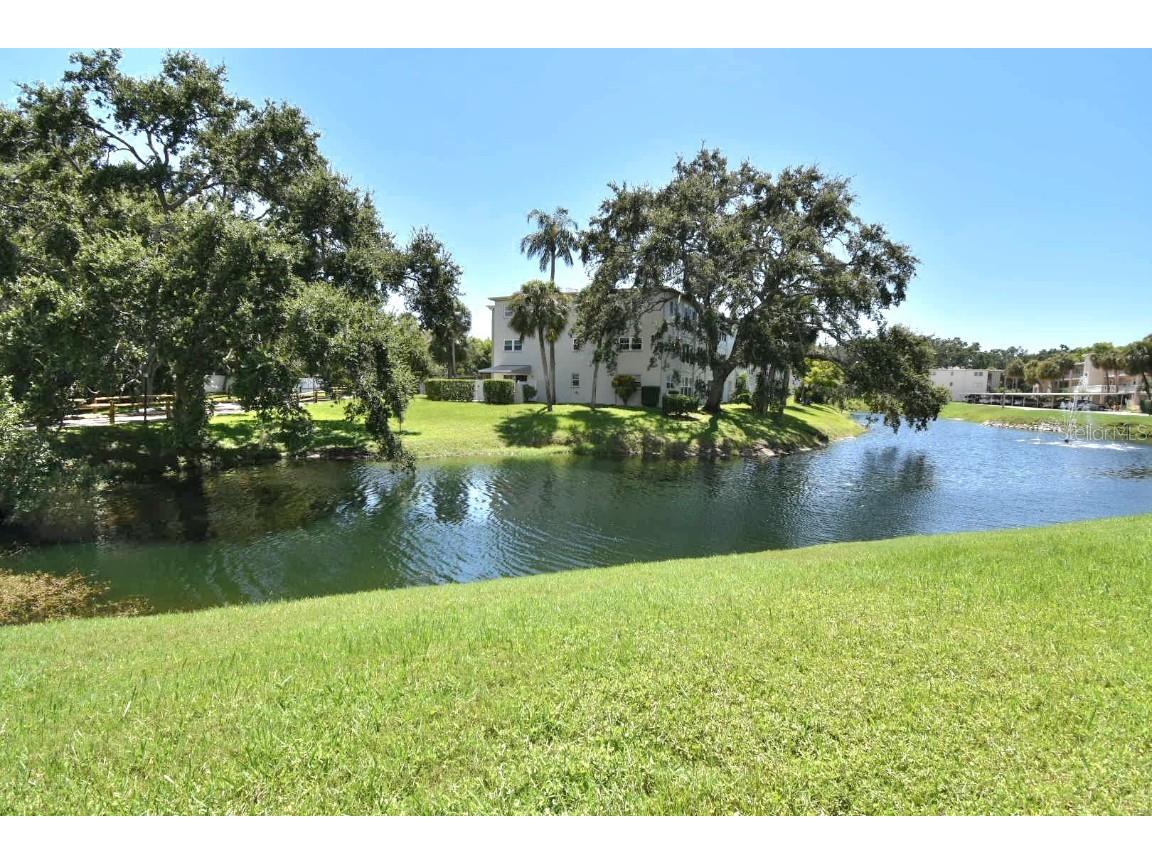 946 Virginia Street #102 Dunedin FL 34698 TB8412620 image2