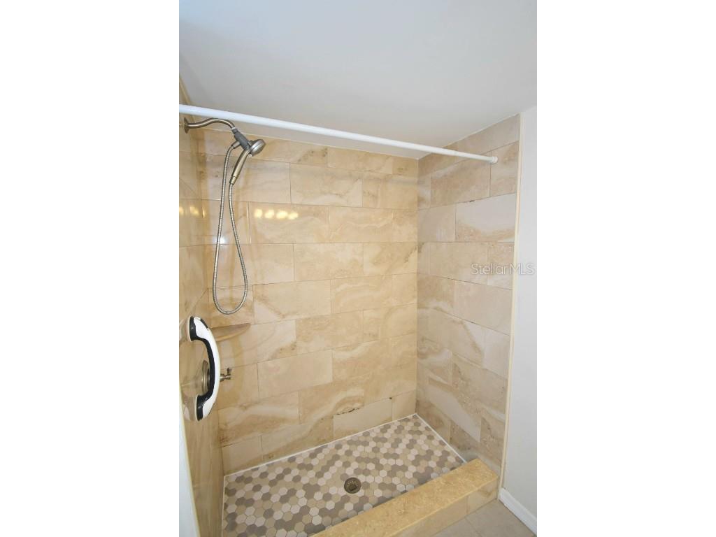 946 Virginia Street #102 Dunedin FL 34698 TB8412620 image20