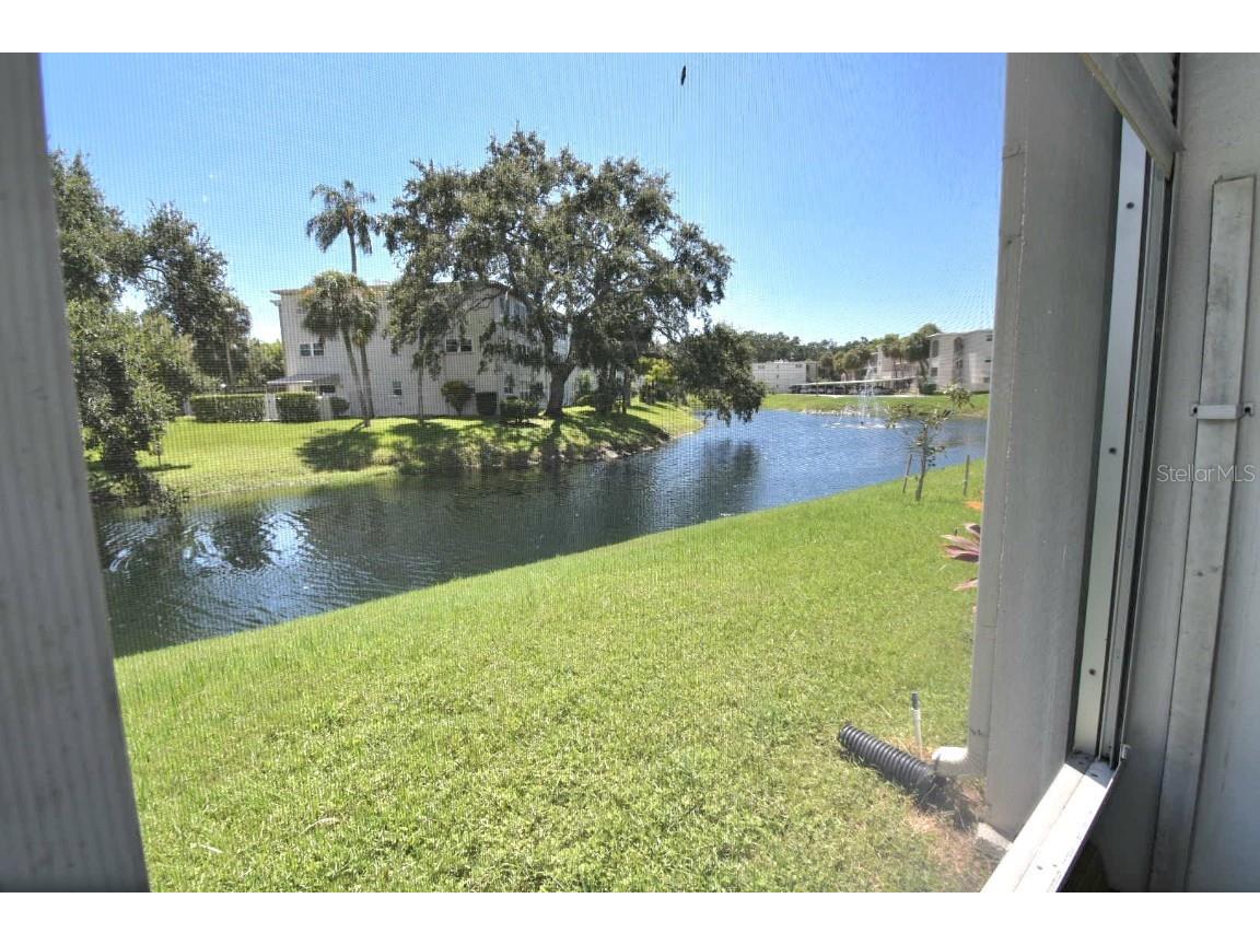946 Virginia Street #102 Dunedin FL 34698 TB8412620 image24