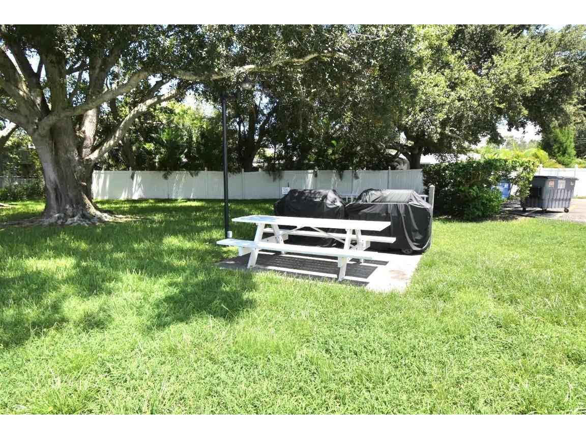 946 Virginia Street #102 Dunedin FL 34698 TB8412620 image25