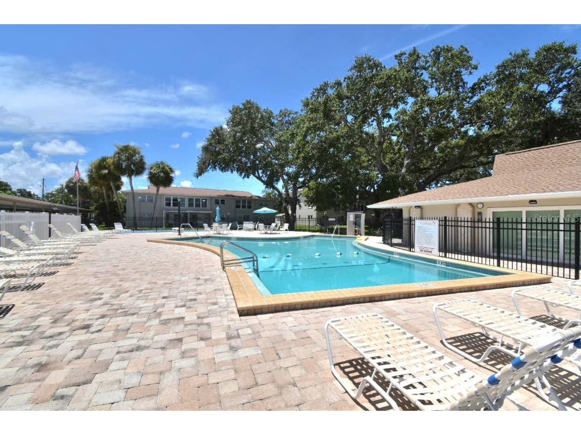 946 Virginia Street #102 Dunedin FL 34698 TB8412620 image26