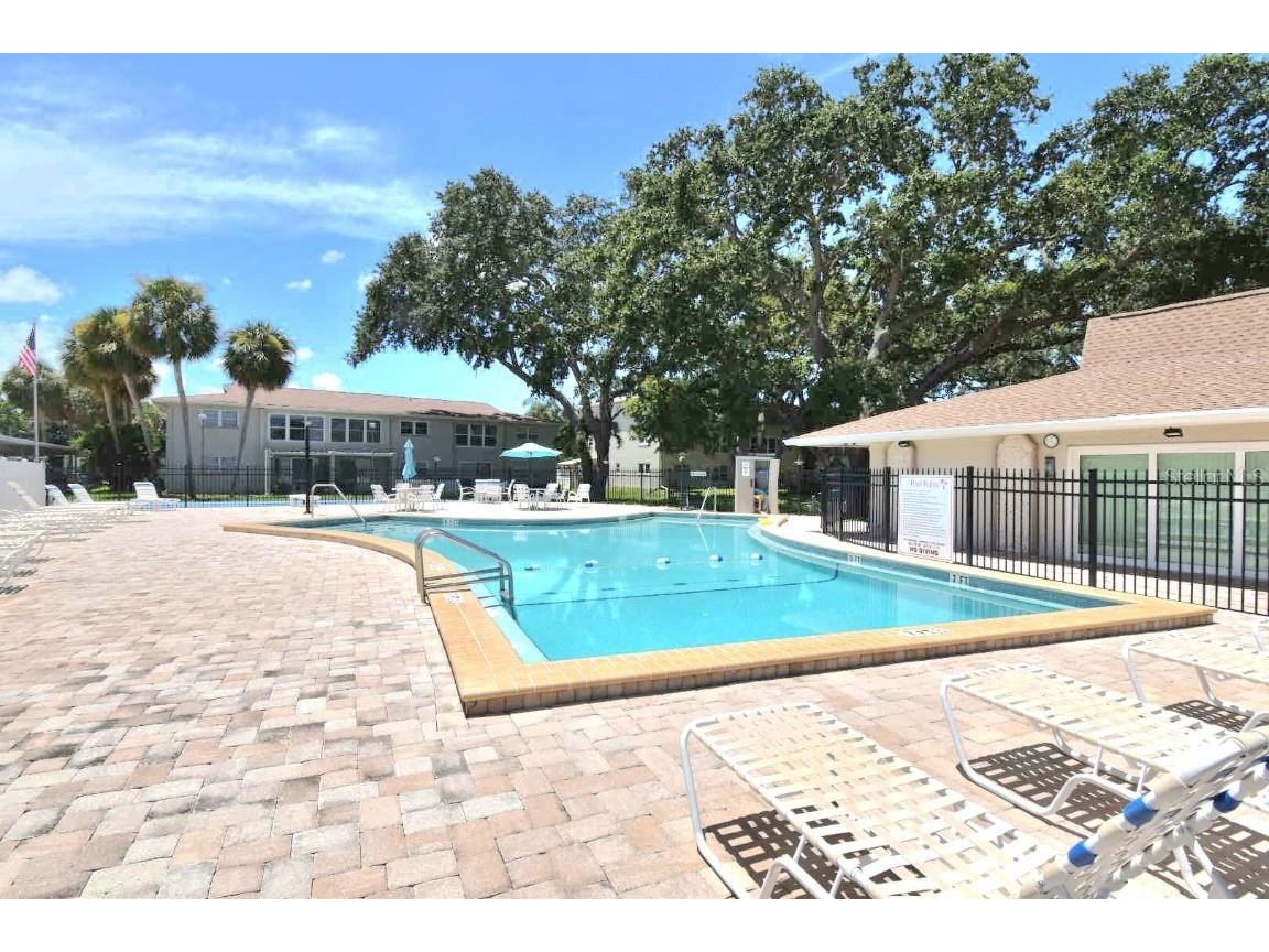 946 Virginia Street #102 Dunedin FL 34698 TB8412620 image28