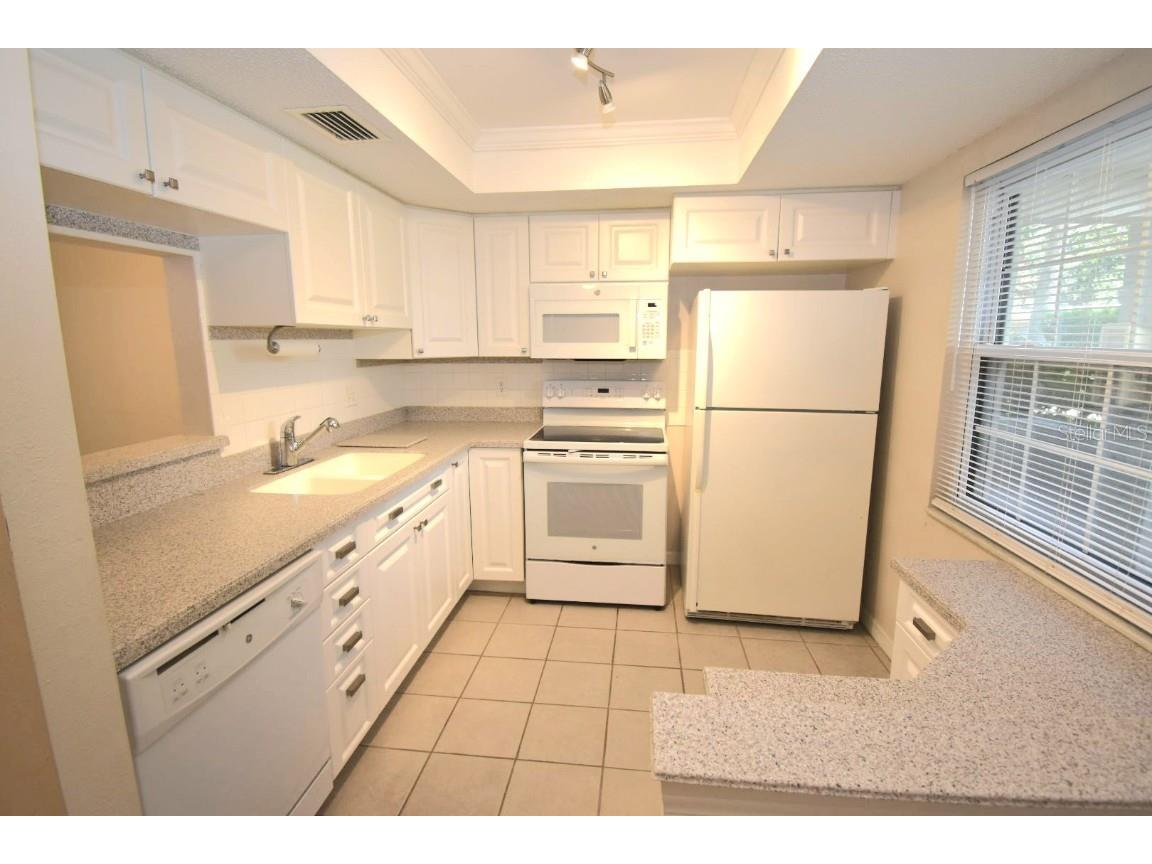 946 Virginia Street #102 Dunedin FL 34698 TB8412620 image6