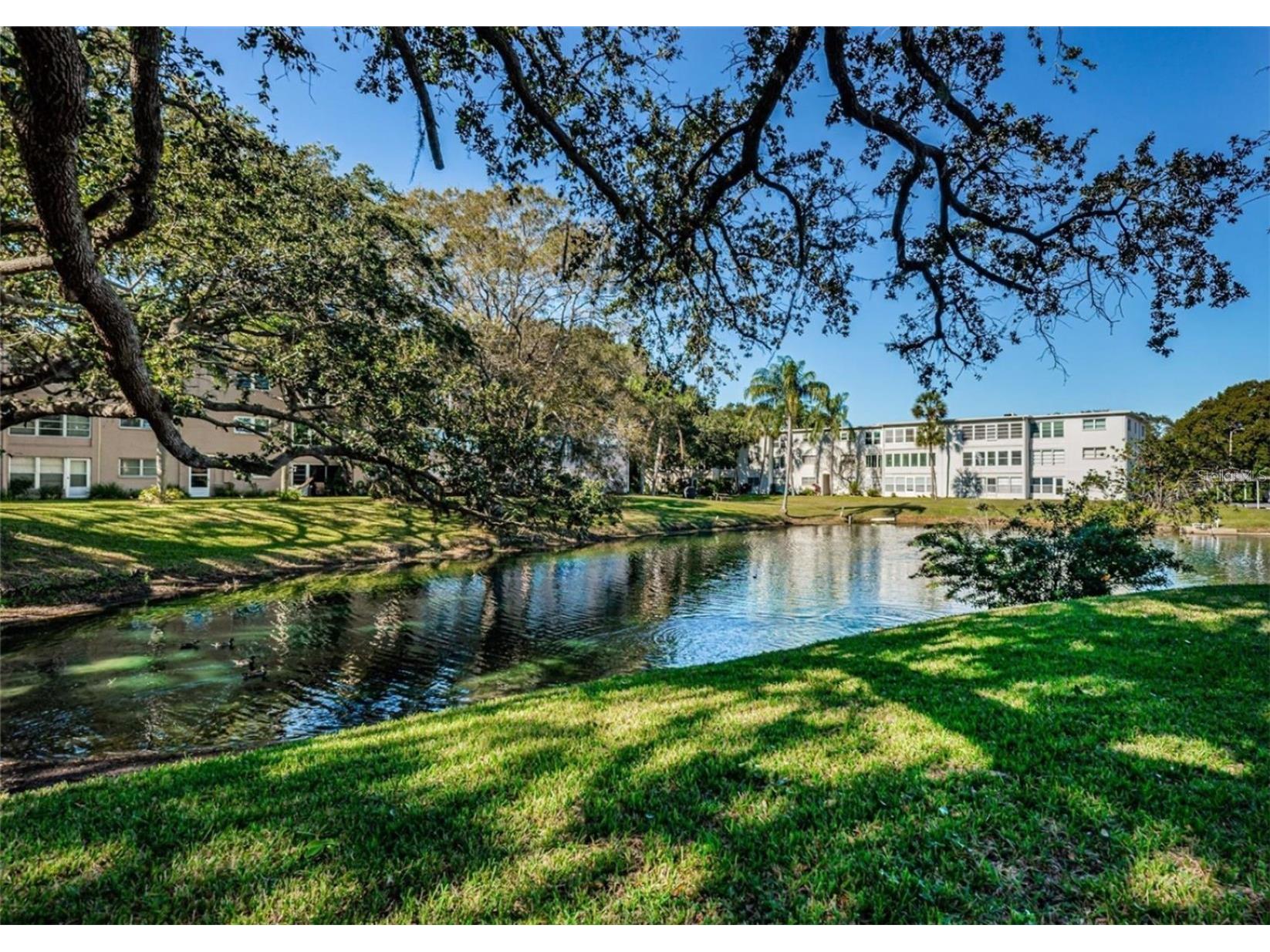 946 Virginia Street #104 Dunedin FL 34698 TB8484199 image17