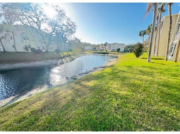 946 Virginia Street #104 Dunedin FL 34698 TB8484199 image18