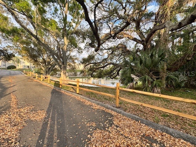 946 Virginia Street #104 Dunedin FL 34698 TB8484199 image25