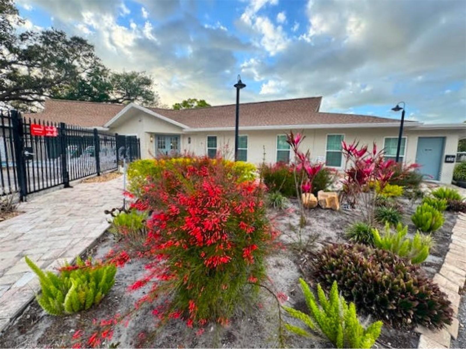 946 Virginia Street #104 Dunedin FL 34698 TB8484199 image28