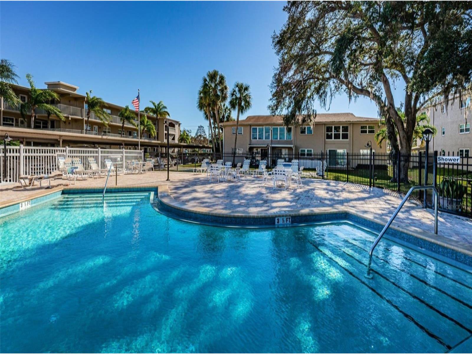 946 Virginia Street #104 Dunedin FL 34698 TB8484199 image30