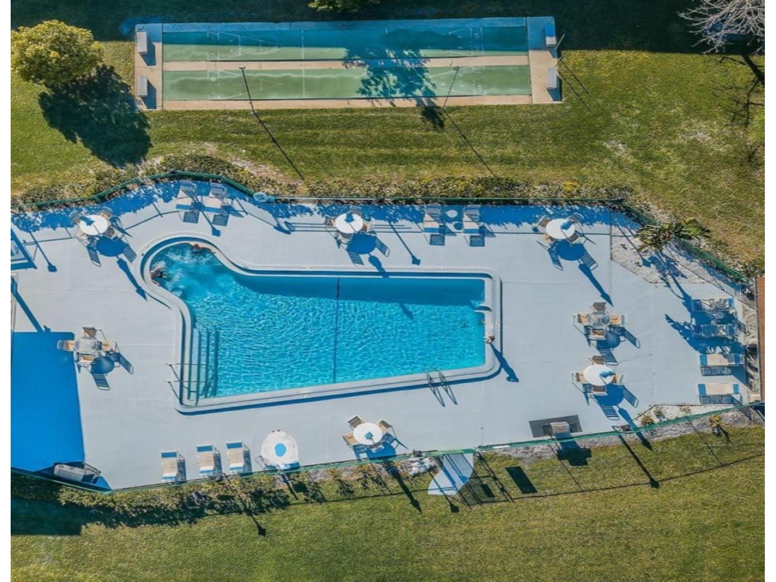 946 Virginia Street #104 Dunedin FL 34698 TB8484199 image32