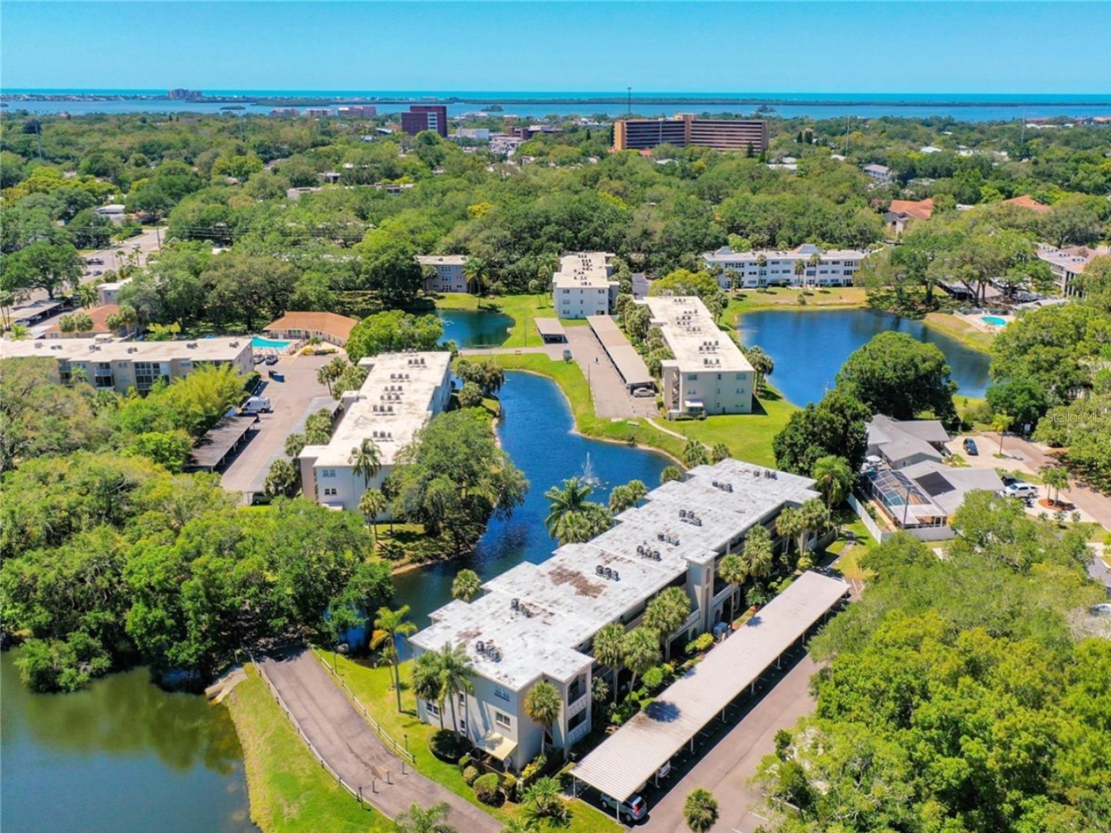 946 Virginia Street #104 Dunedin FL 34698 TB8484199 image38