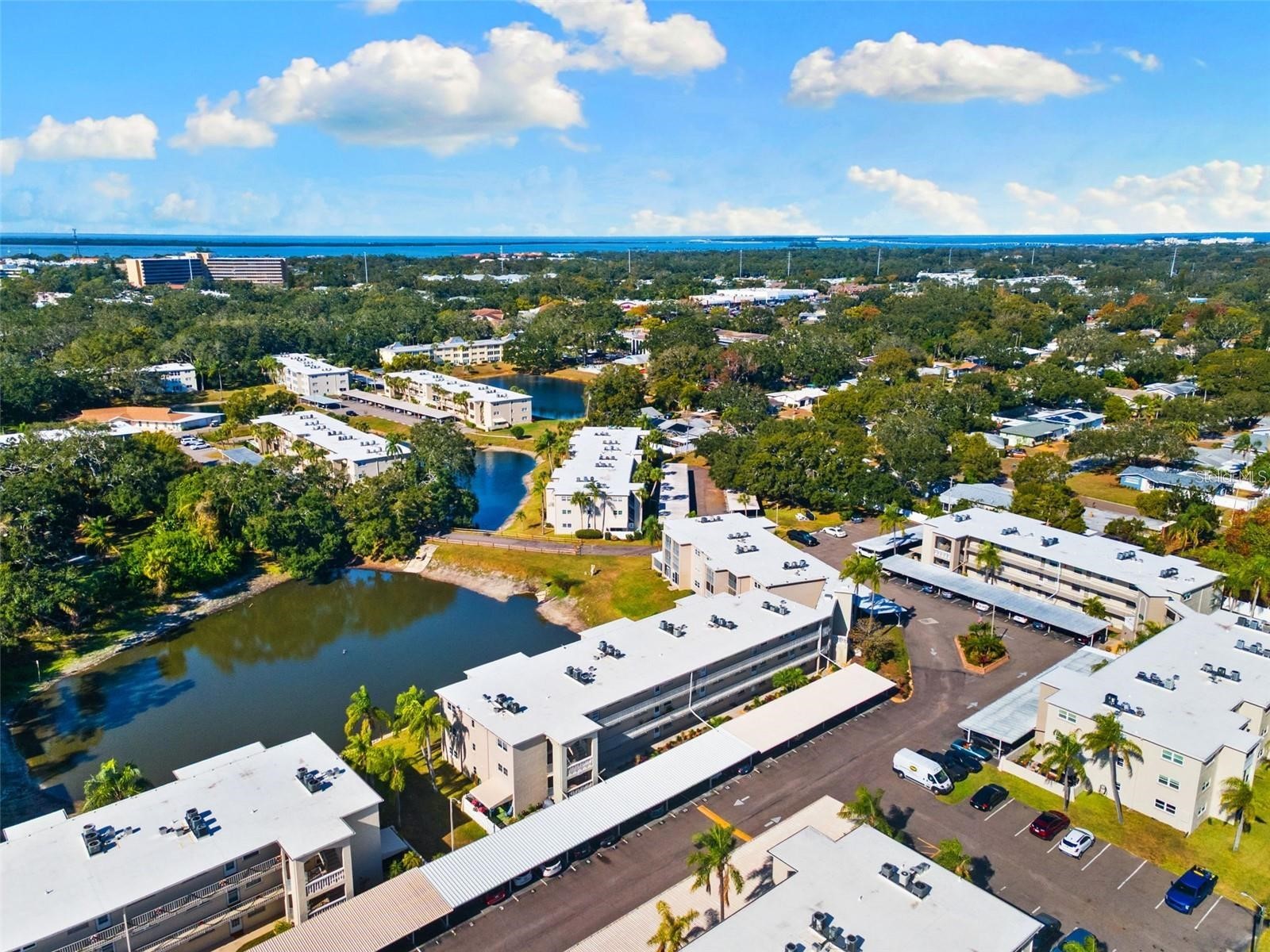 946 Virginia Street #104 Dunedin FL 34698 TB8484199 image39