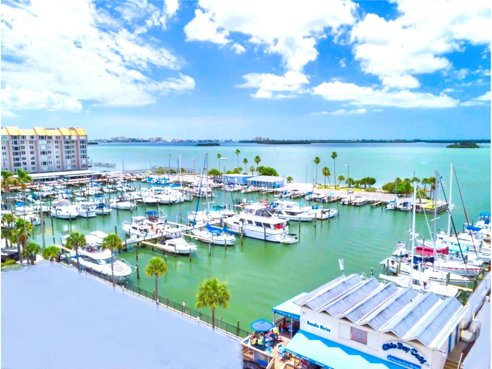 946 Virginia Street #104 Dunedin FL 34698 TB8484199 image40