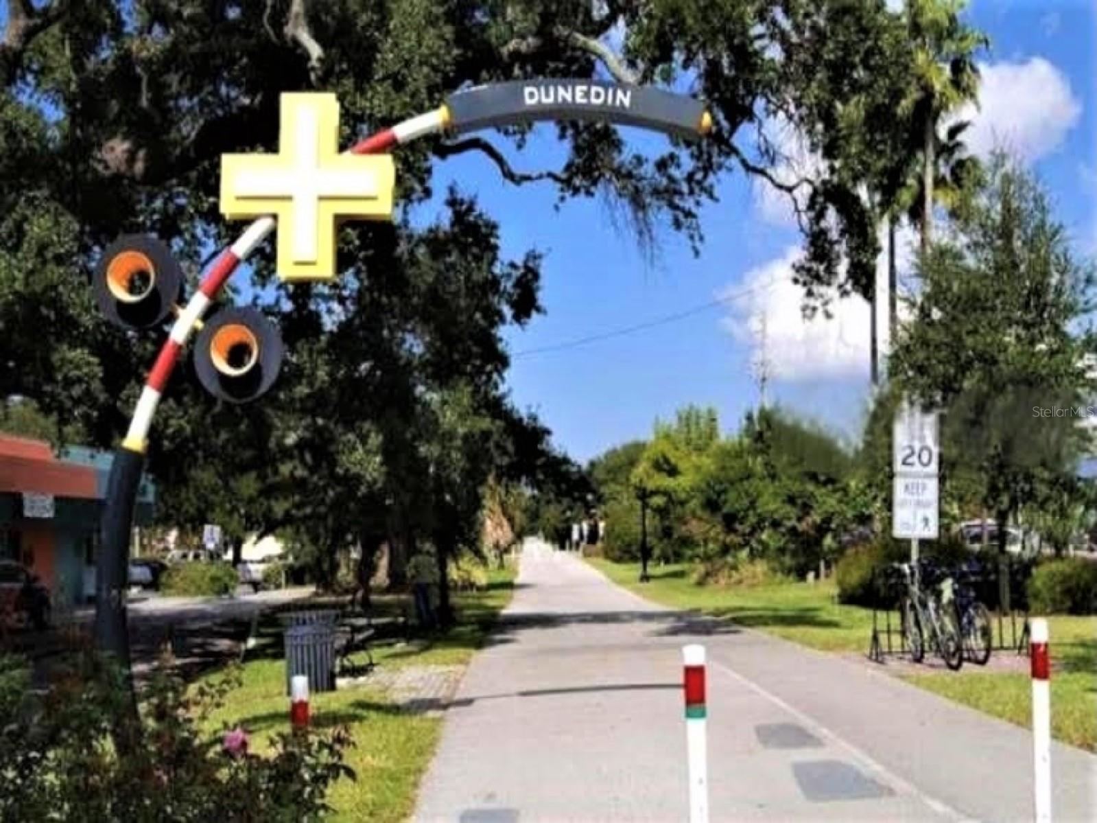 946 Virginia Street #104 Dunedin FL 34698 TB8484199 image42