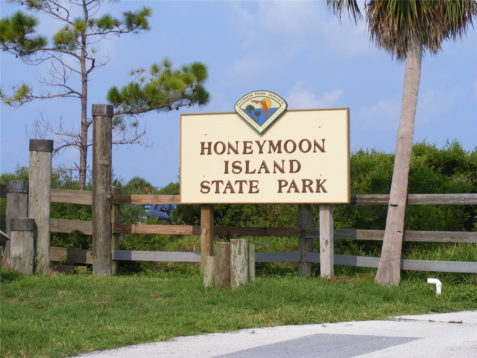 946 Virginia Street #104 Dunedin FL 34698 TB8484199 image51