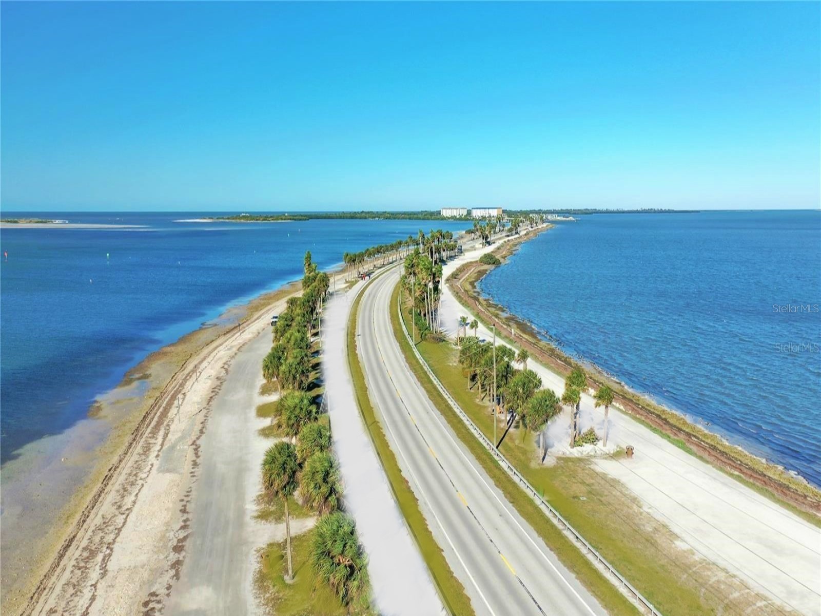 946 Virginia Street #104 Dunedin FL 34698 TB8484199 image52