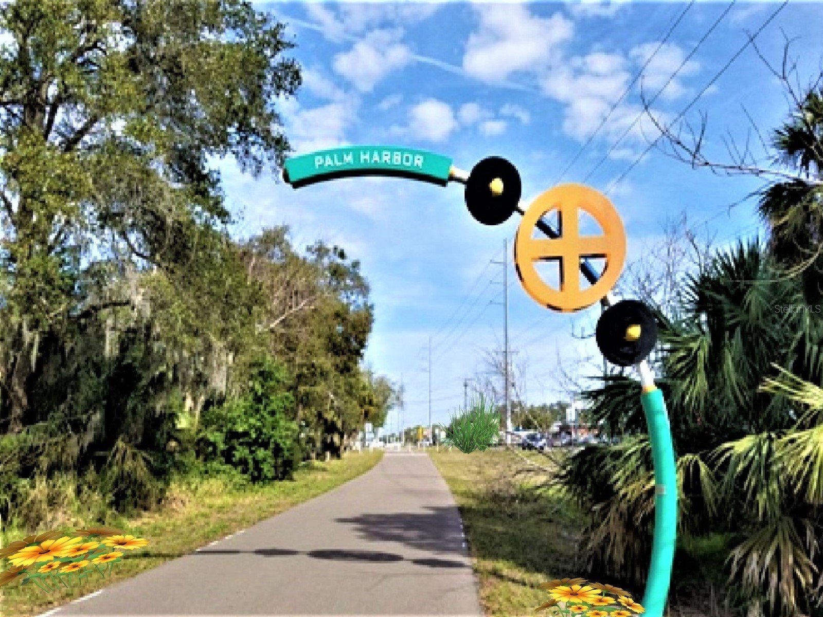 946 Virginia Street #104 Dunedin FL 34698 TB8484199 image54