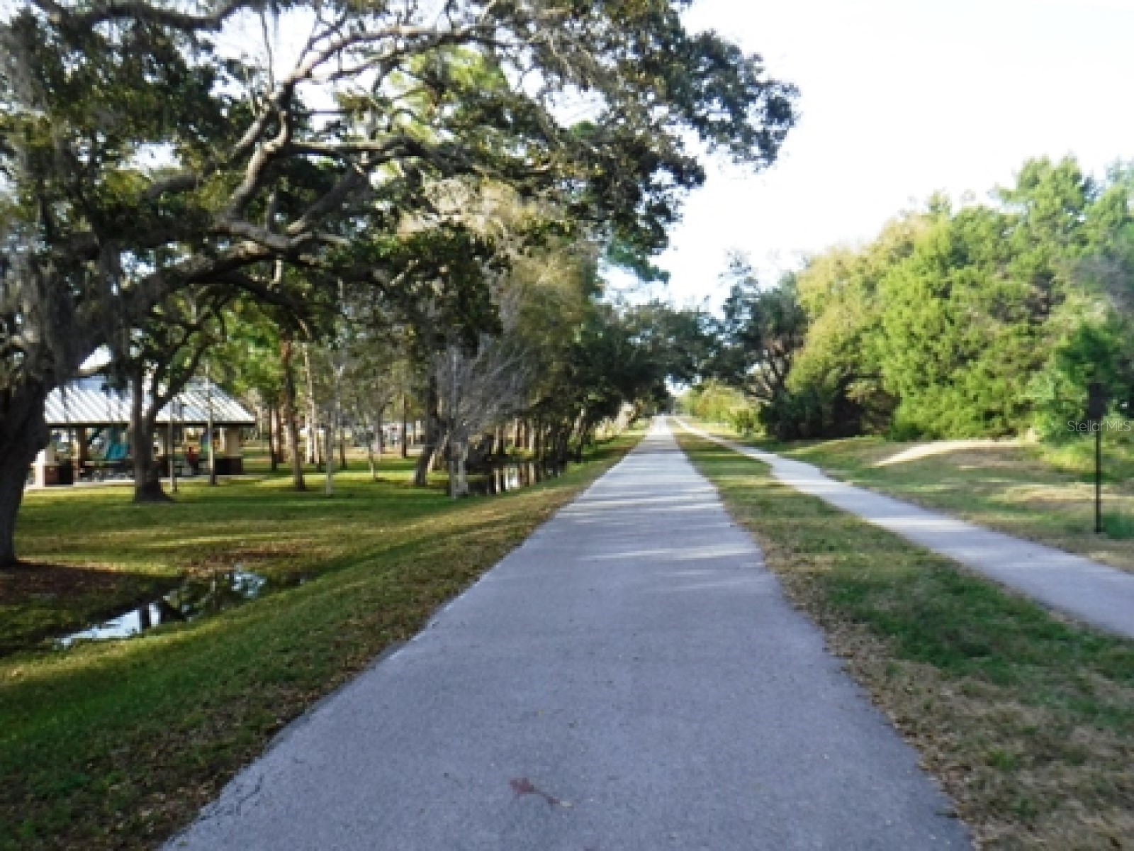 946 Virginia Street #104 Dunedin FL 34698 TB8484199 image55
